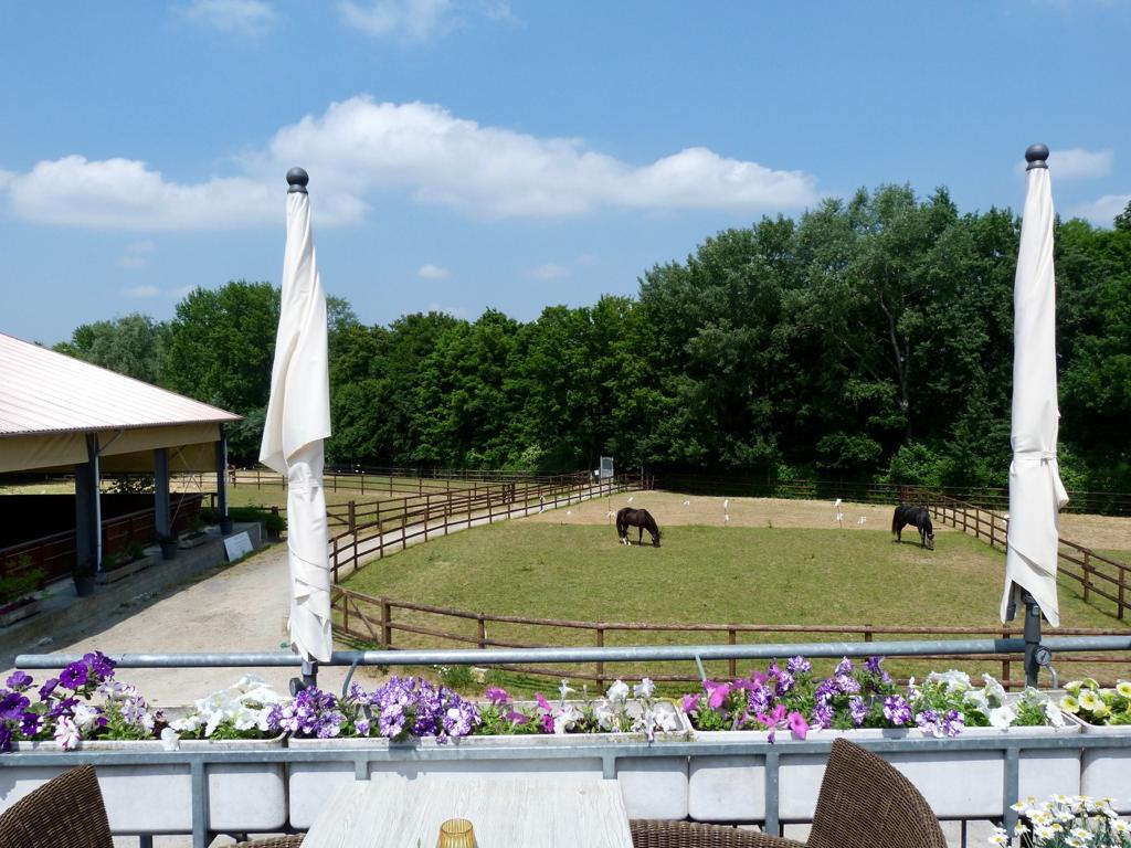 Sonnenterrasse eines Restaurants mit Blick ins Grüne